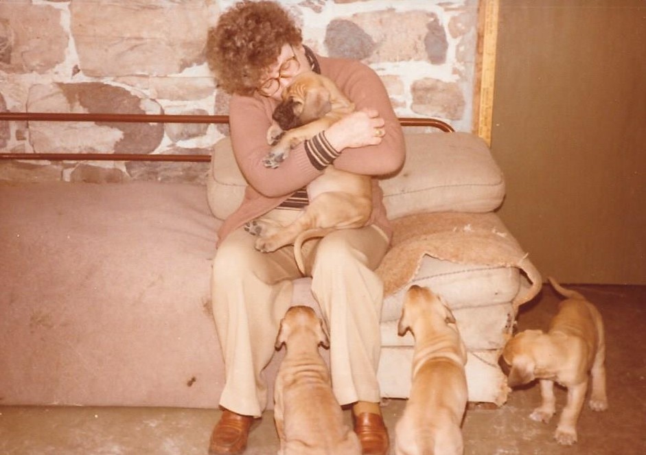 Jill and Bogart x Fiona Puppies